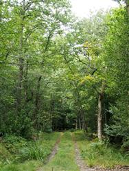 Image of property