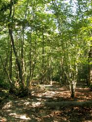 Image of property