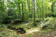 Image of property