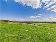 Click to view more details