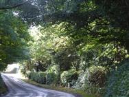 Click to view more details