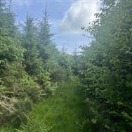 Image of property