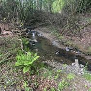 Image of property