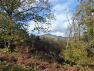 Click to view more details