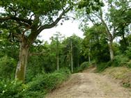 Click to view more details