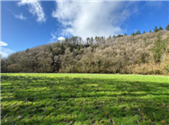 Click to view more details