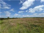 Click to view more details