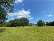 Click to view more details