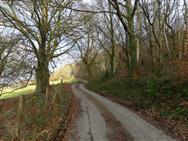 Click to view more details