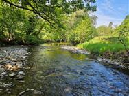 Click to view more details