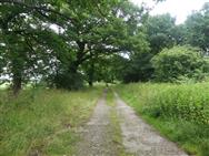 Image of property