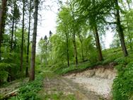 Image of property