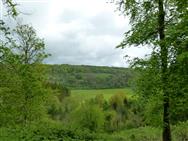 Image of property