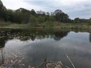 Image of property