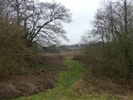 Image of property