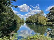 Click to view more details