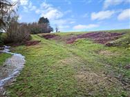 Click to view more details