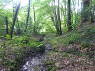 Image of property