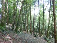 Image of property