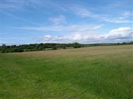 Click to view more details