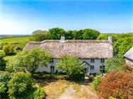 Click to view more details