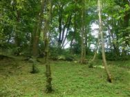 Image of property