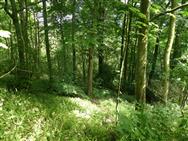 Image of property