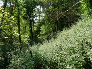 Image of property