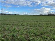 Click to view more details