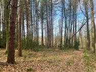 Click to view more details