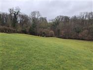 Click to view more details