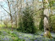 Click to view more details