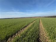 Click to view more details