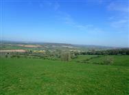 Click to view more details