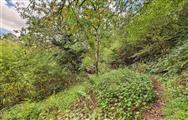 Image of property