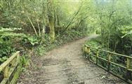 Image of property