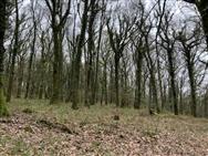 Image of property