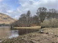 Click to view more details