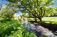 Thornbury, Holsworthy, Devon