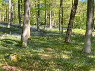 Image of property