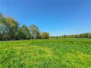 Image of property