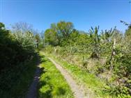 Image of property
