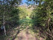Image of property