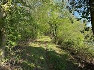 Image of property