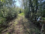 Image of property