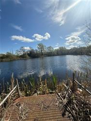 Image of property