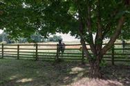 Image of property