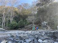 Image of property
