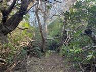 Image of property