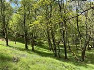 Image of property